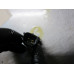 11P033 Knock Detonation Sensor For 07-10 Toyota Sienna  3.5 8961520090
